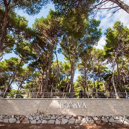 Mirta