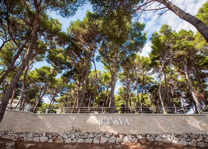Mirta