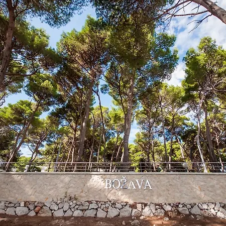 Mirta